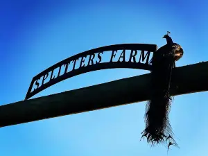 Splitters Farm