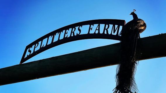 Splitters Farm