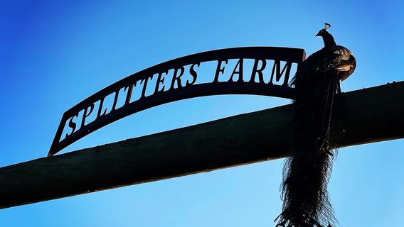 Splitters Farm