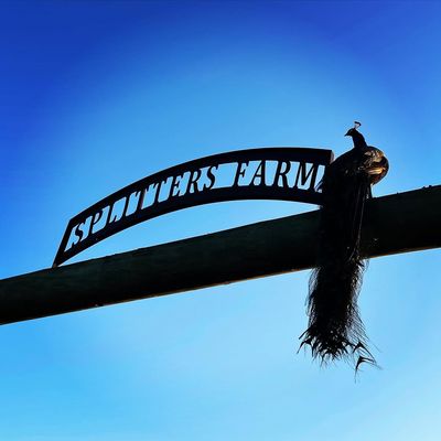 Splitters Farm
