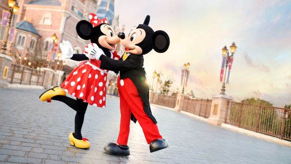 門票/14 項快速通行遊玩體驗+18 項快速通行遊玩體驗+導遊服務+4 場演出/可快速入園/煙花位/花車位 1 天打卡完成