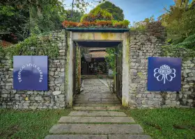 Tropical Spice Garden