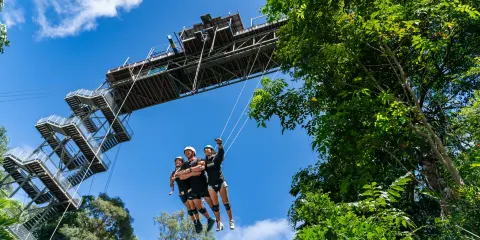 AJ Hackett雨林蹦極