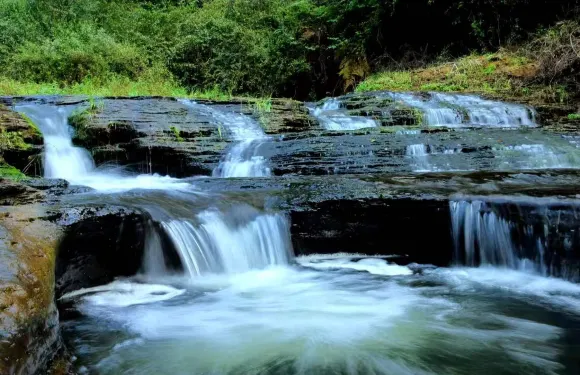 石板河景區觀光車票(單程)成人