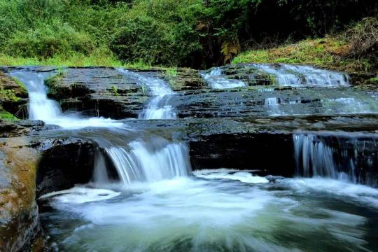 Shiban River Scenic Area