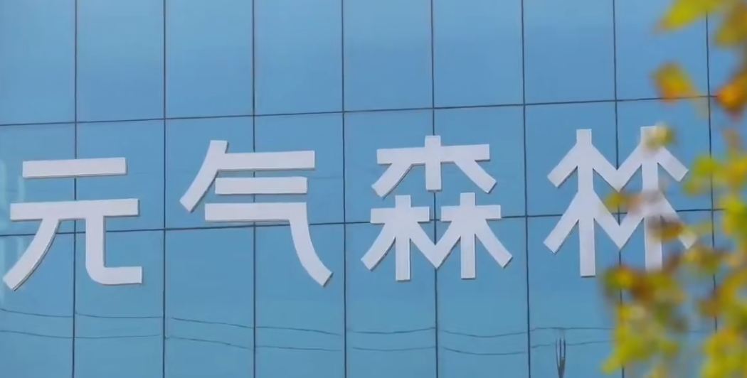 Municipal Government New District