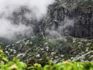 Sedan Chair Snow Mountain Tourism Zone