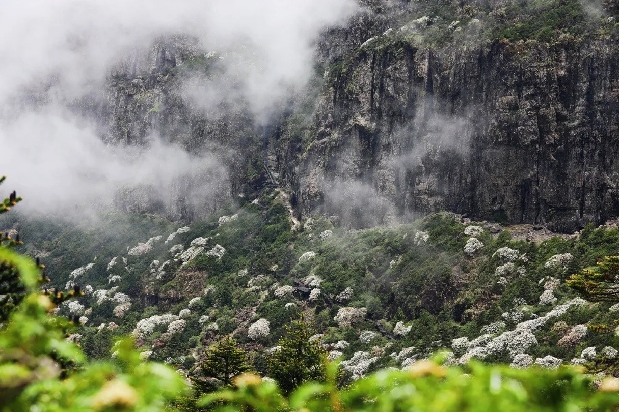 2_Sedan Chair Snow Mountain Tourism Zone