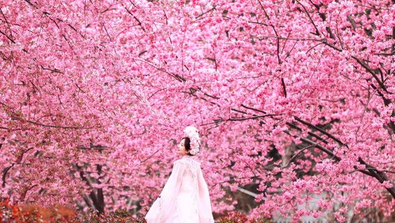 Manhua Sea of Flowers