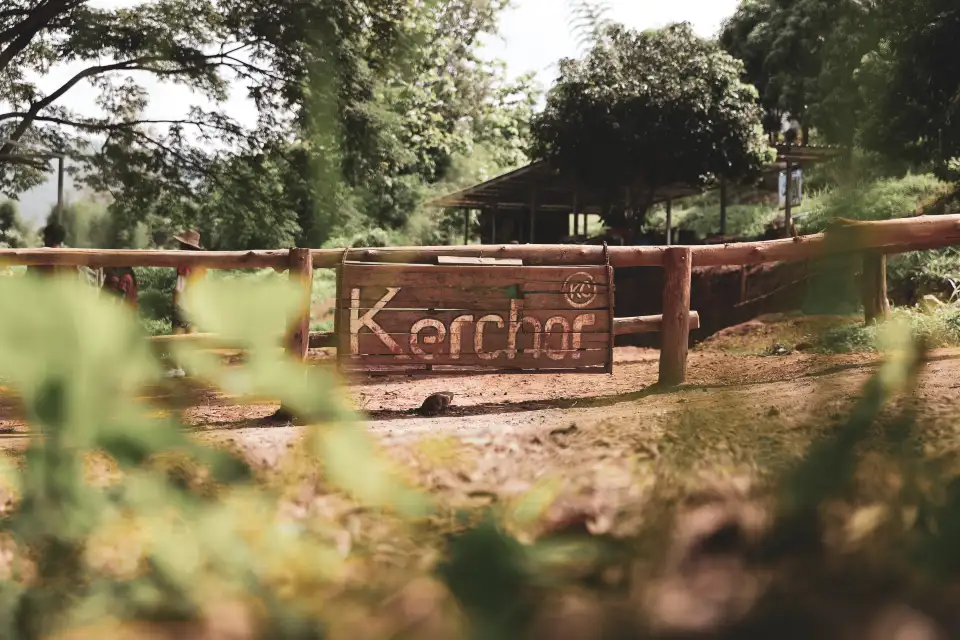 2_Kerchor​ elephant​ eco​ park​