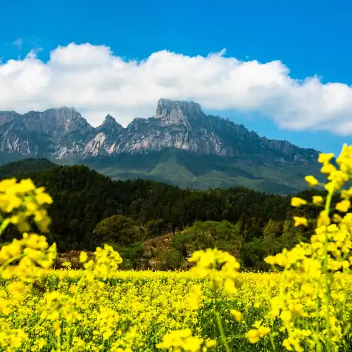 靈山風景名勝區