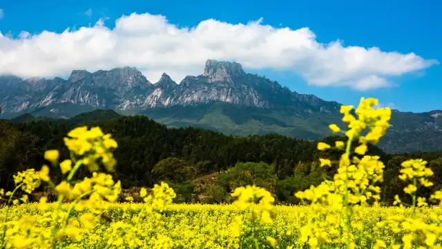 Hotel berhampiran Jiangxi Lingshan