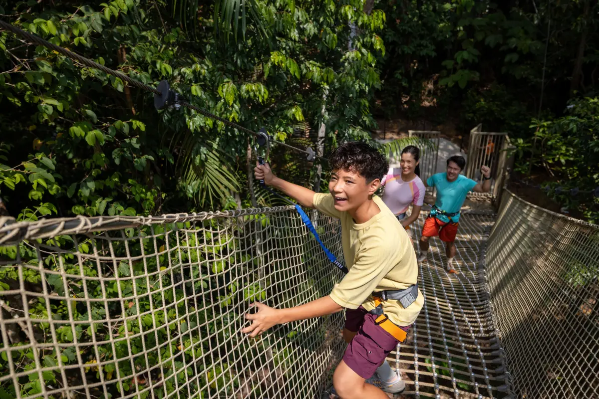 Rainforest Wild Adventure