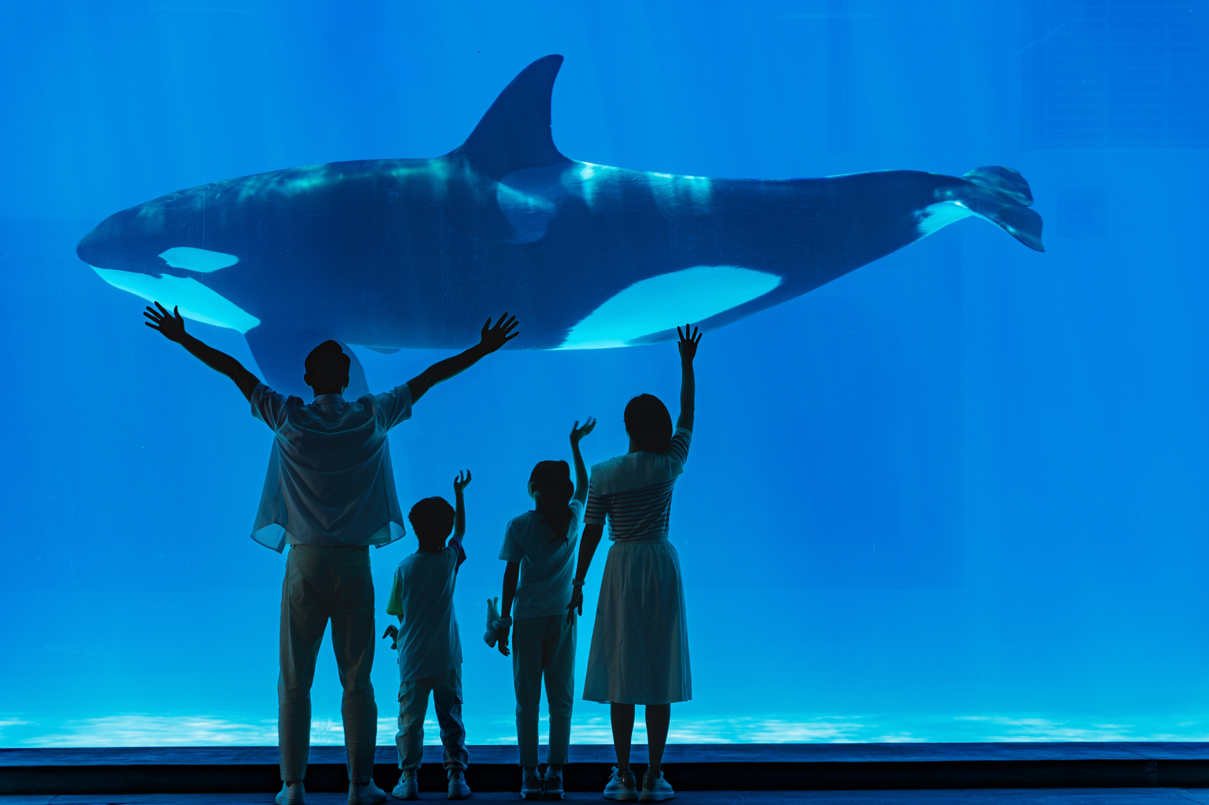 ไฮไลท์ Spaceship