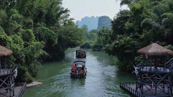 靖西日遊