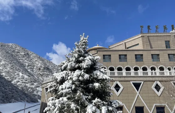 林胡古塞門票+觀光車+動物園 (贈送玻璃橋)大小同價
