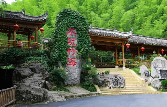 木坑竹海門票成人