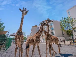 Yoo Town Qilihai Resort