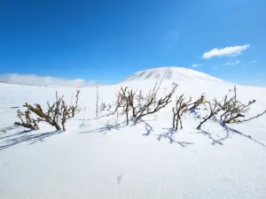 Wulanhada Volcano Geopark
