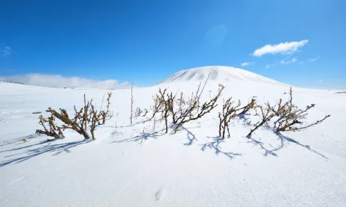 Wulanhada Volcano Geopark