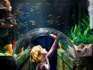 SEA LIFE Melbourne Aquarium