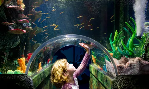 SEA LIFE Melbourne Aquarium