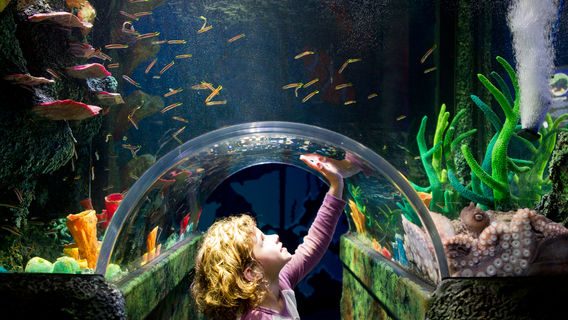 SEA LIFE Melbourne Aquarium