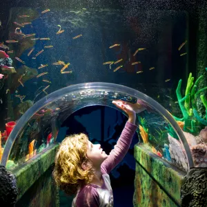 墨爾本水族館