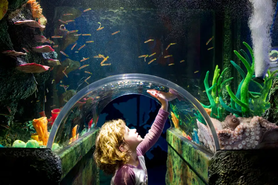 1_SEA LIFE Melbourne Aquarium