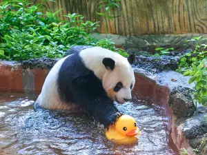 海南熱帯野生動植物園