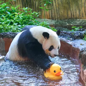海南熱帶野生動植物園