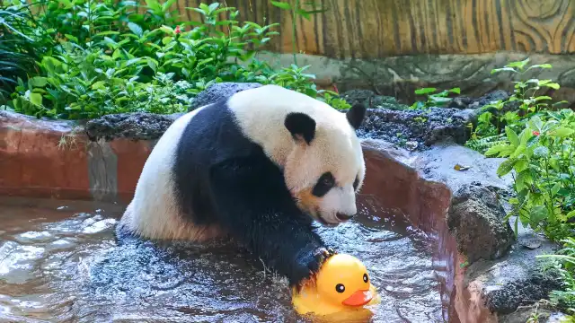 海南熱帶野生動植物園