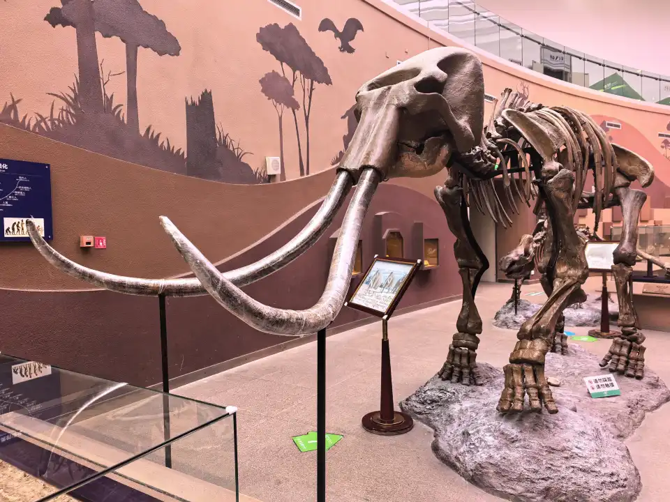 5_Shaanxi Nature Museum
