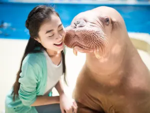 Ocean Aquarium of Penglai