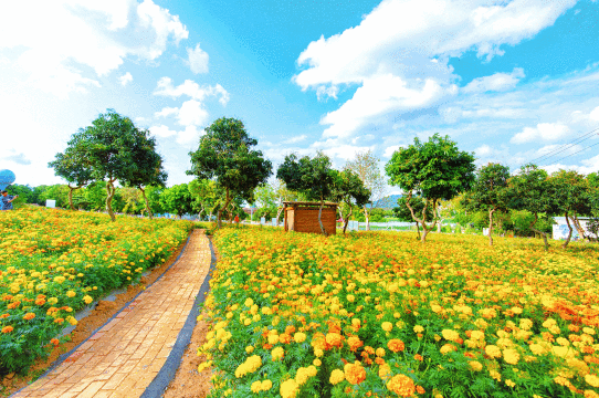 光明農場大觀園