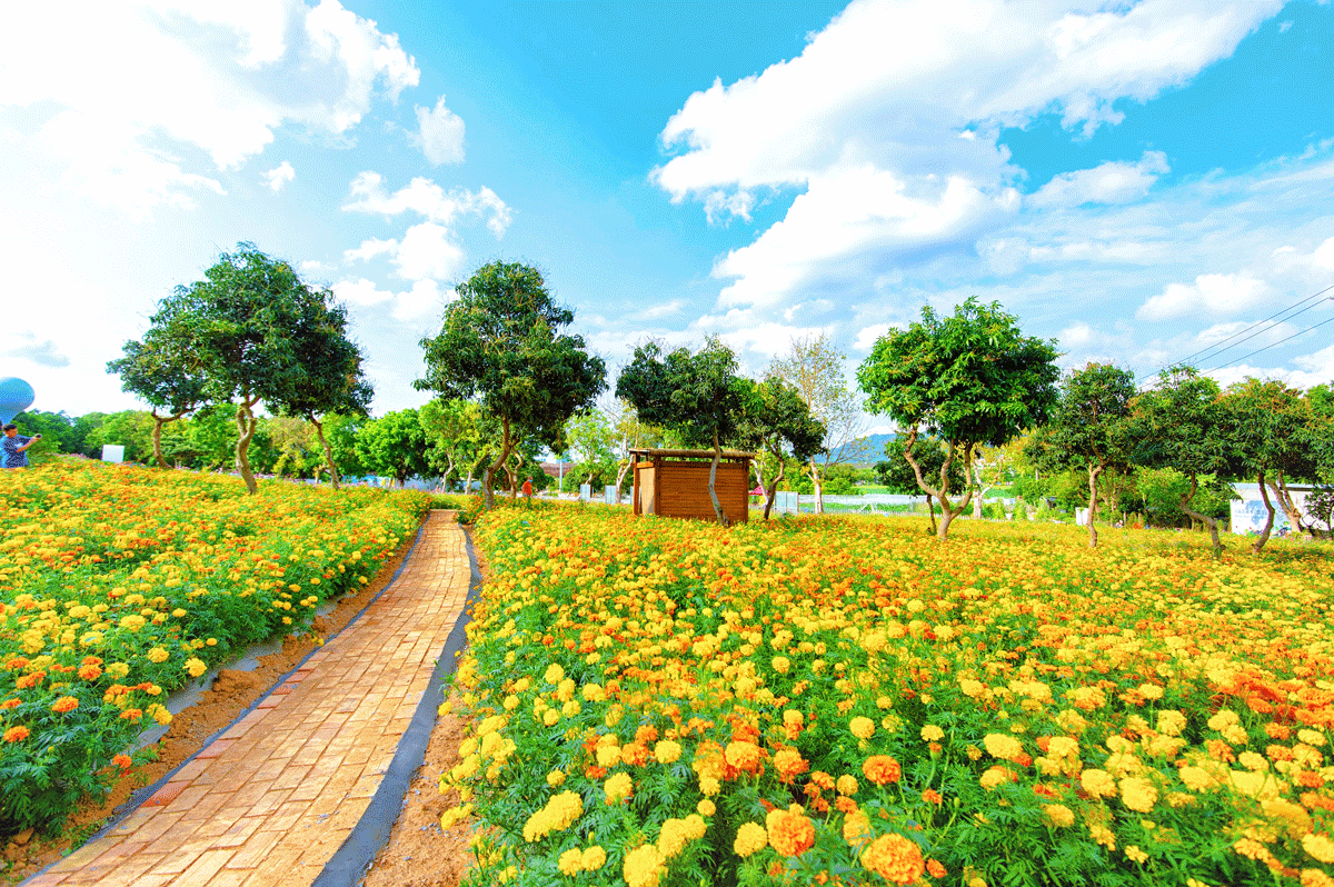 Hotel in zona Guangming Farm