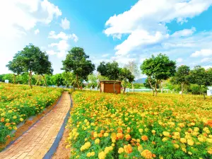 光明農場大観園