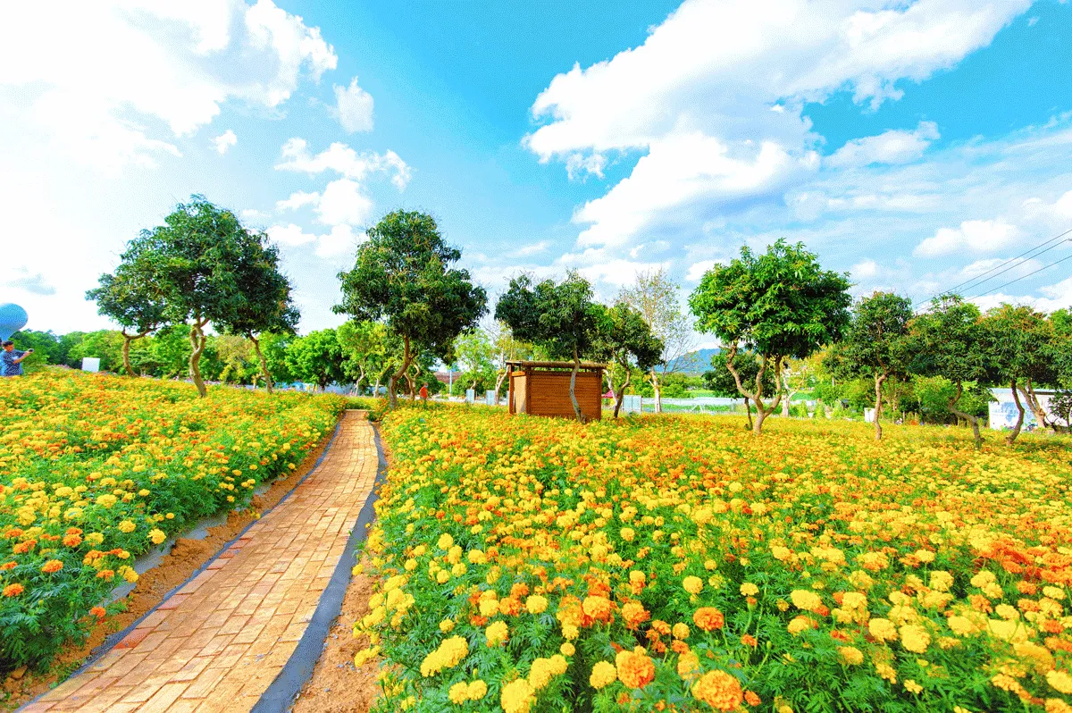 1_光明農場大觀園