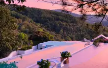 Dalat Flower Highland