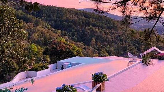 Dalat Flower Highland