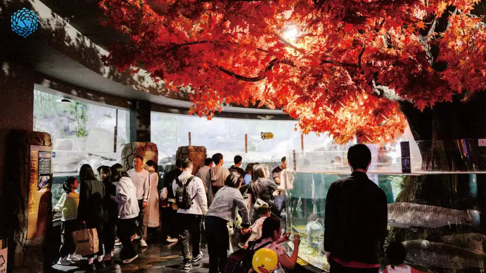 5_Chengdu Cube Oceanarium