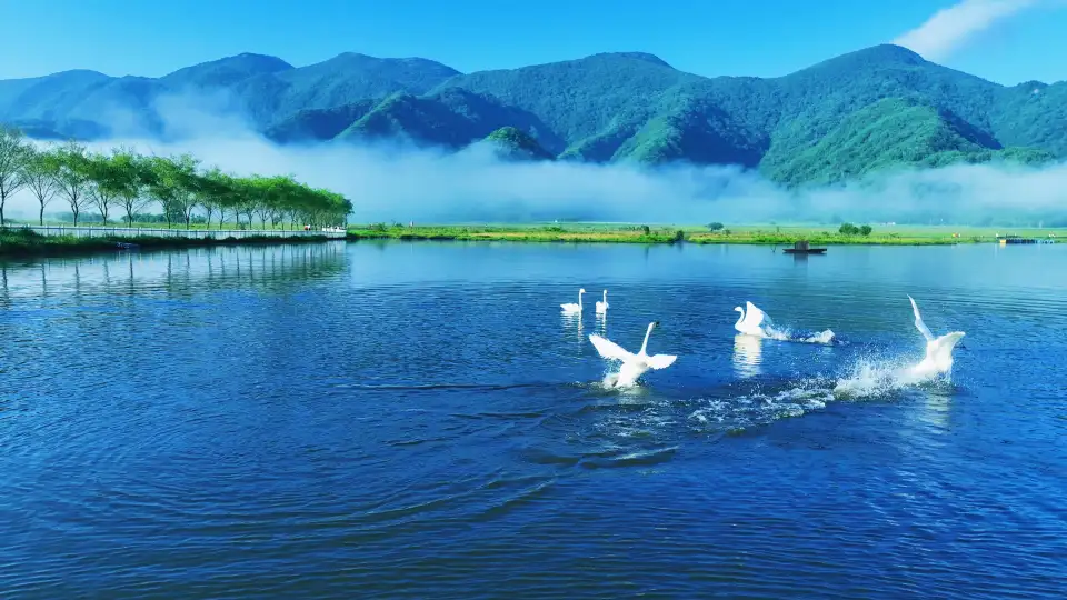 3_Shennongjia Tourism Area