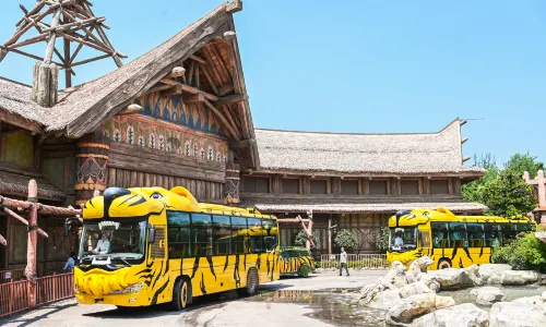 Enjoy Animal Kingdom