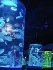 水母海洋館