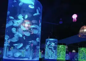 水母海洋館