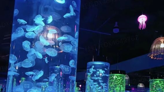 Jellyfish Aquarium