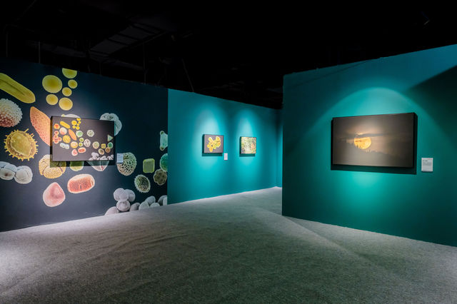 中國國家地理·探索 極致發現科學藝術影像展（河北首展） | 邯鄲