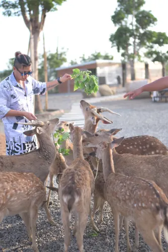 Kenting Big Wolf Ecological Education Park