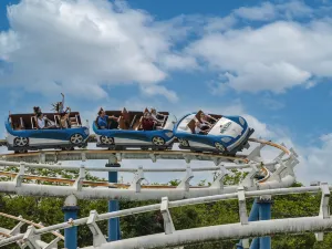 Changying Resort Wonderland