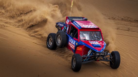 Ordos Private Guided 1-Day Tour Xiangshawan